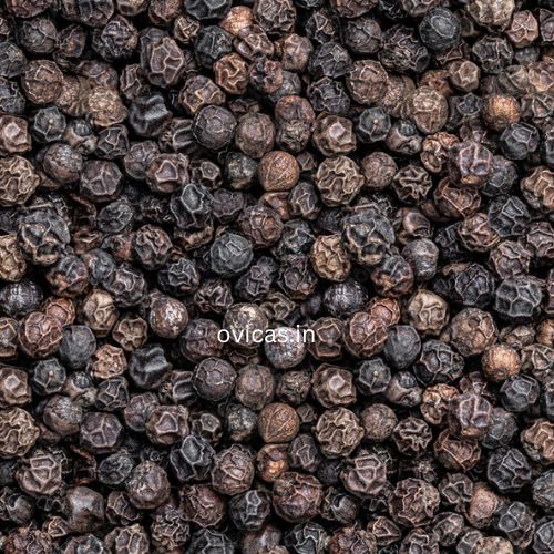 ovicas - black pepper